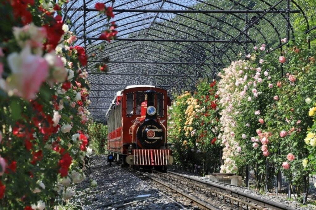 ローザン鉄道ミルキーウェイ