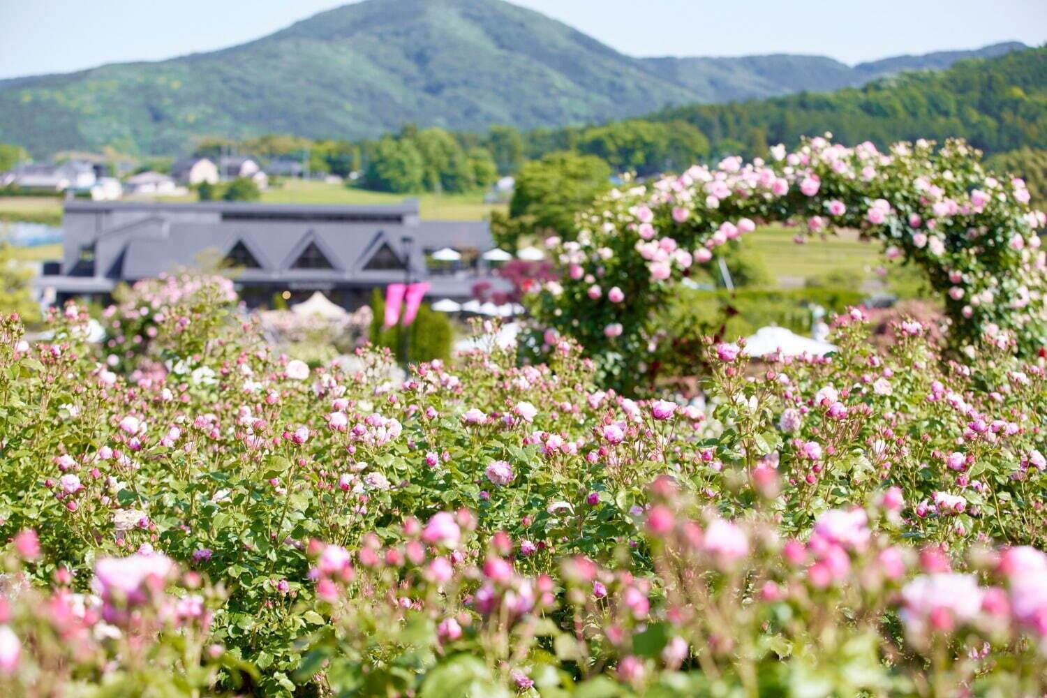 関東「夏のお出かけイベント」2025年夏休みや週末に行きたいスポットや夏フェス、グルメイベントも｜写真12