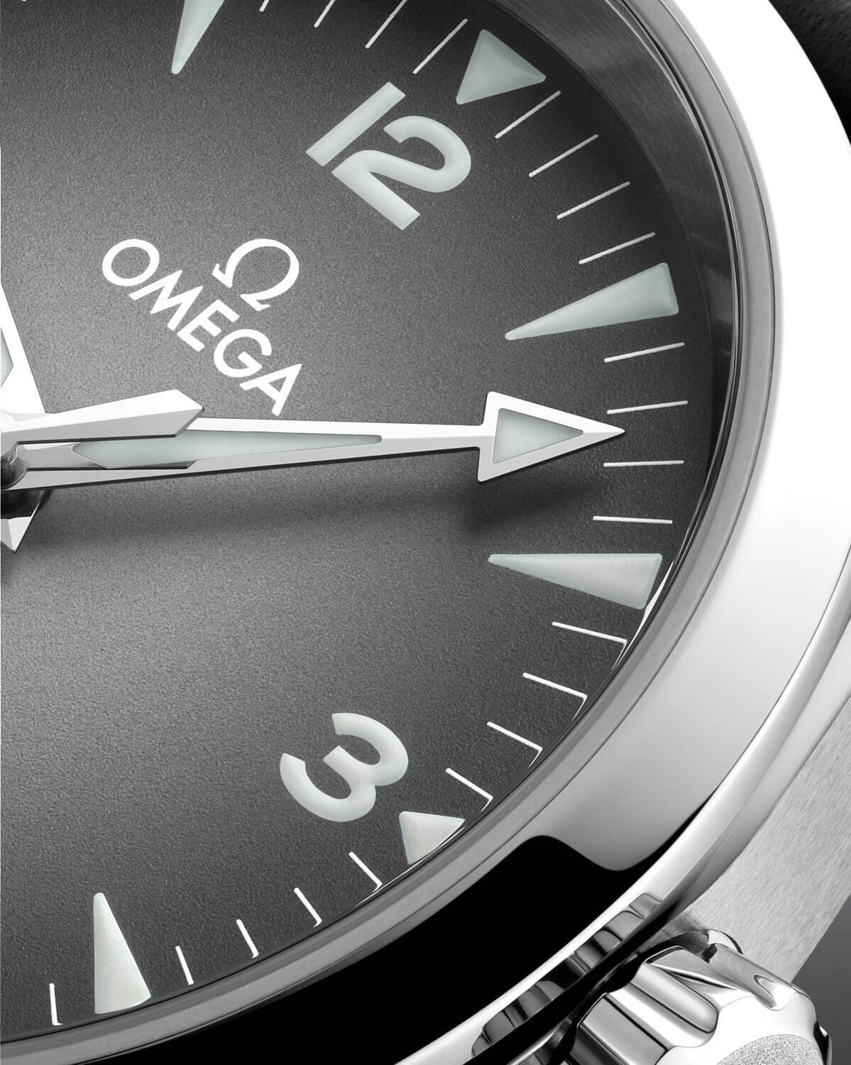 オメガ(OMEGA) レイルマスター｜写真5