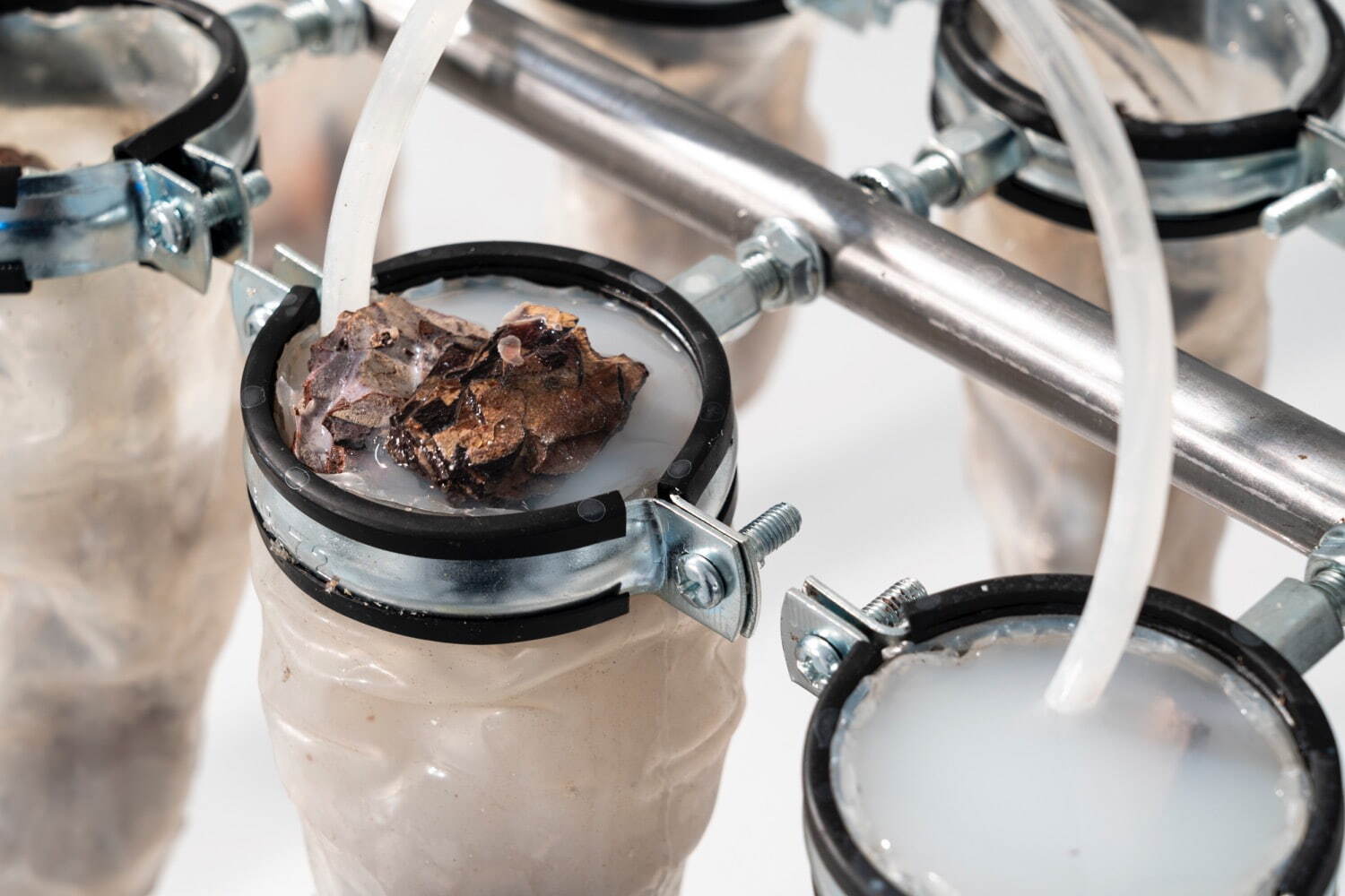 マヤ・エリン・マスダの展覧会が山口情報芸術センターで、テクノロジーと環境の関係性を探る新作を発表｜写真2