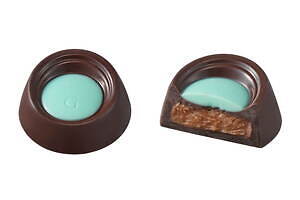 ゴディバ(GODIVA) 海水浴の思い出｜写真4