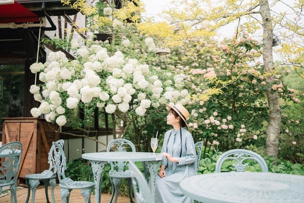 関西の2025年注目「夏イベント」夏休みのお出かけ・旅行スポットや花火大会＆夏祭り｜写真17