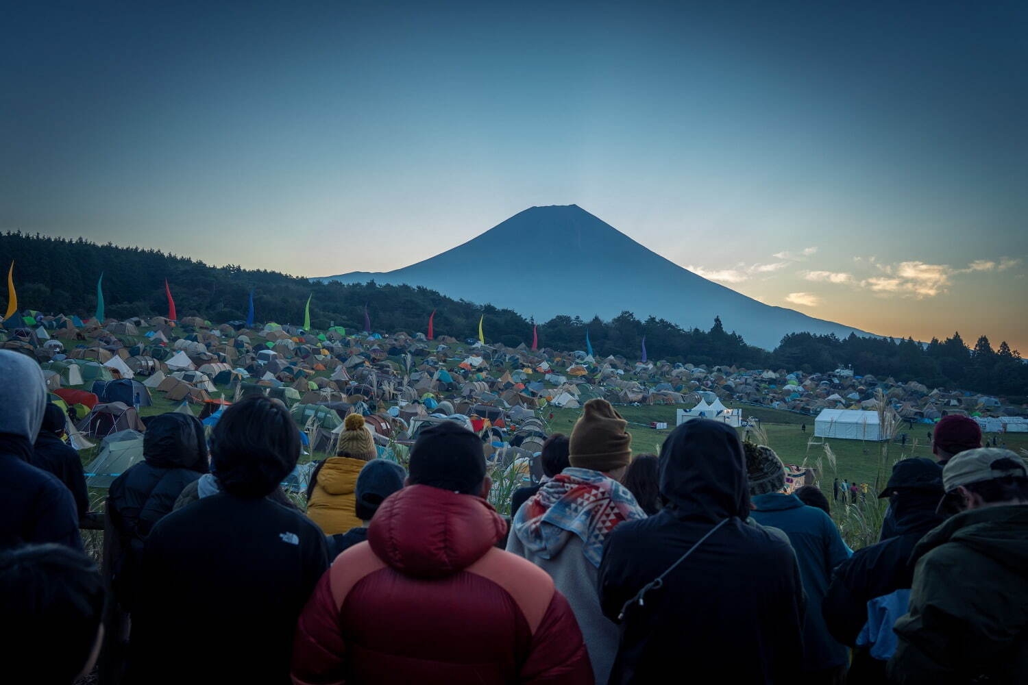 朝霧ジャム'25 朝霧自然公園｜写真4