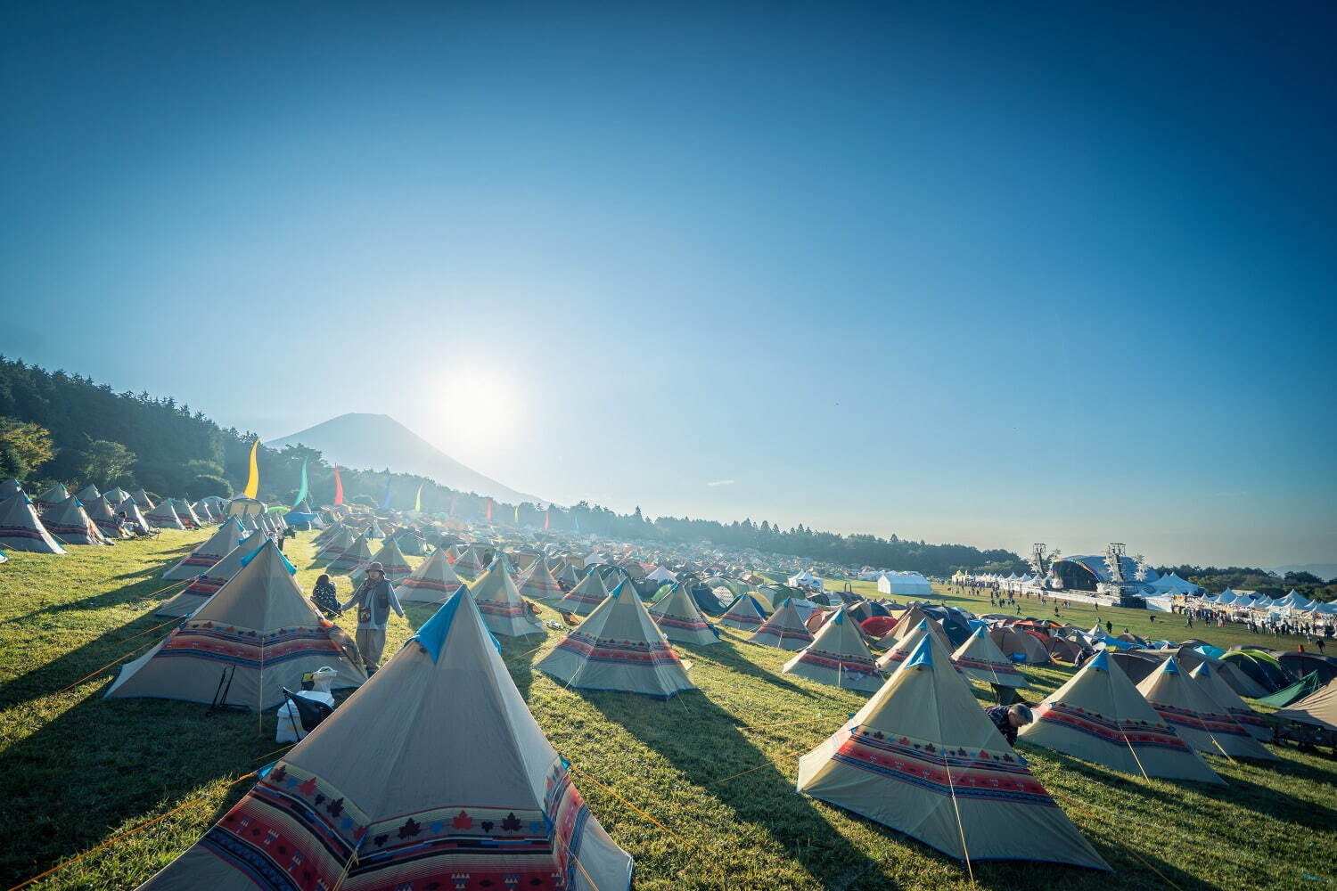 朝霧ジャム'25 朝霧自然公園｜写真5