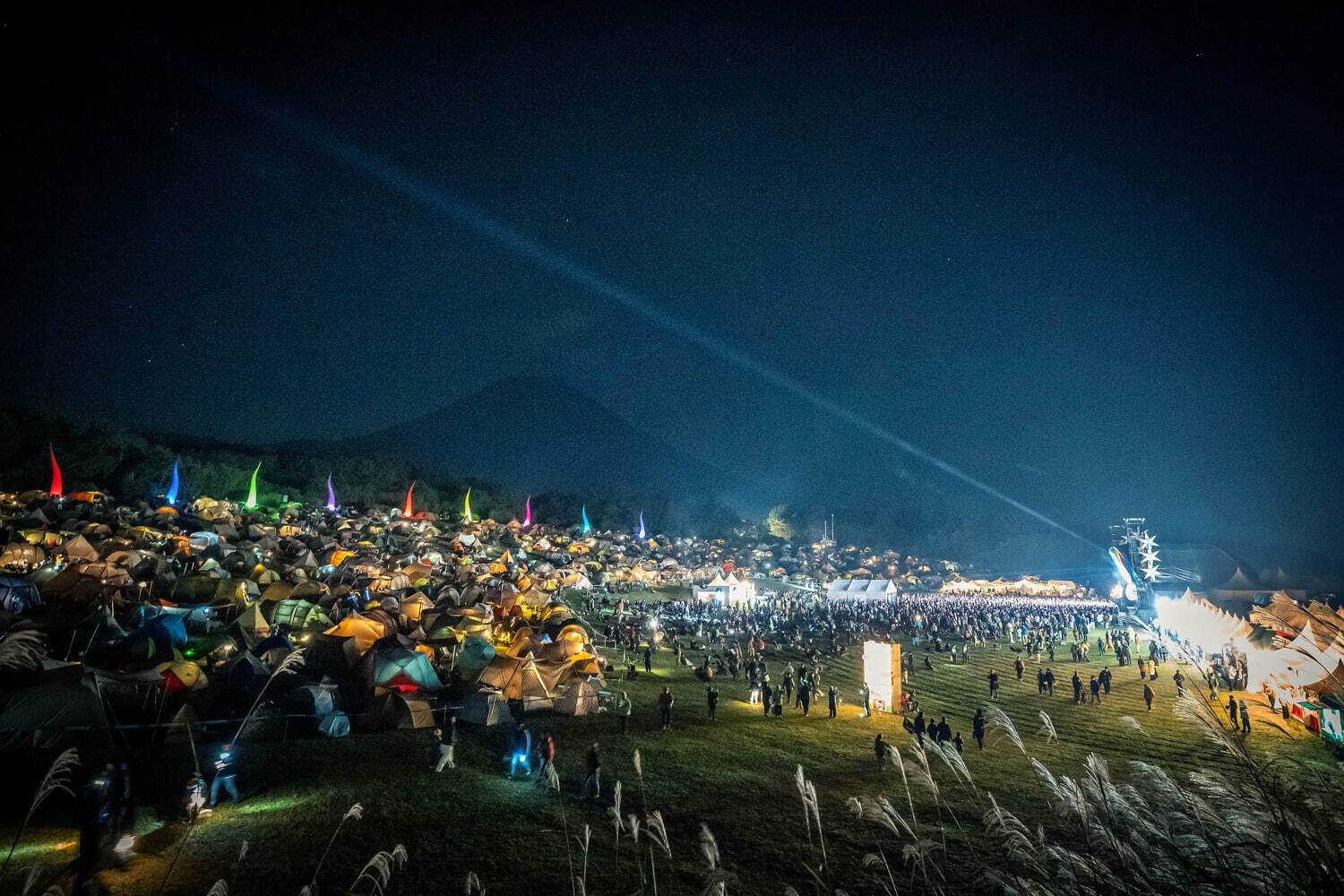朝霧ジャム'25 朝霧自然公園｜写真3