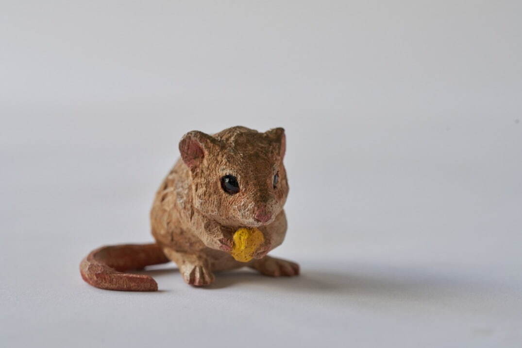 動物彫刻家・はしもとみおの展覧会、ラッコ“メイちゃん”など新作木彫が群馬県立館林美術館に｜写真3