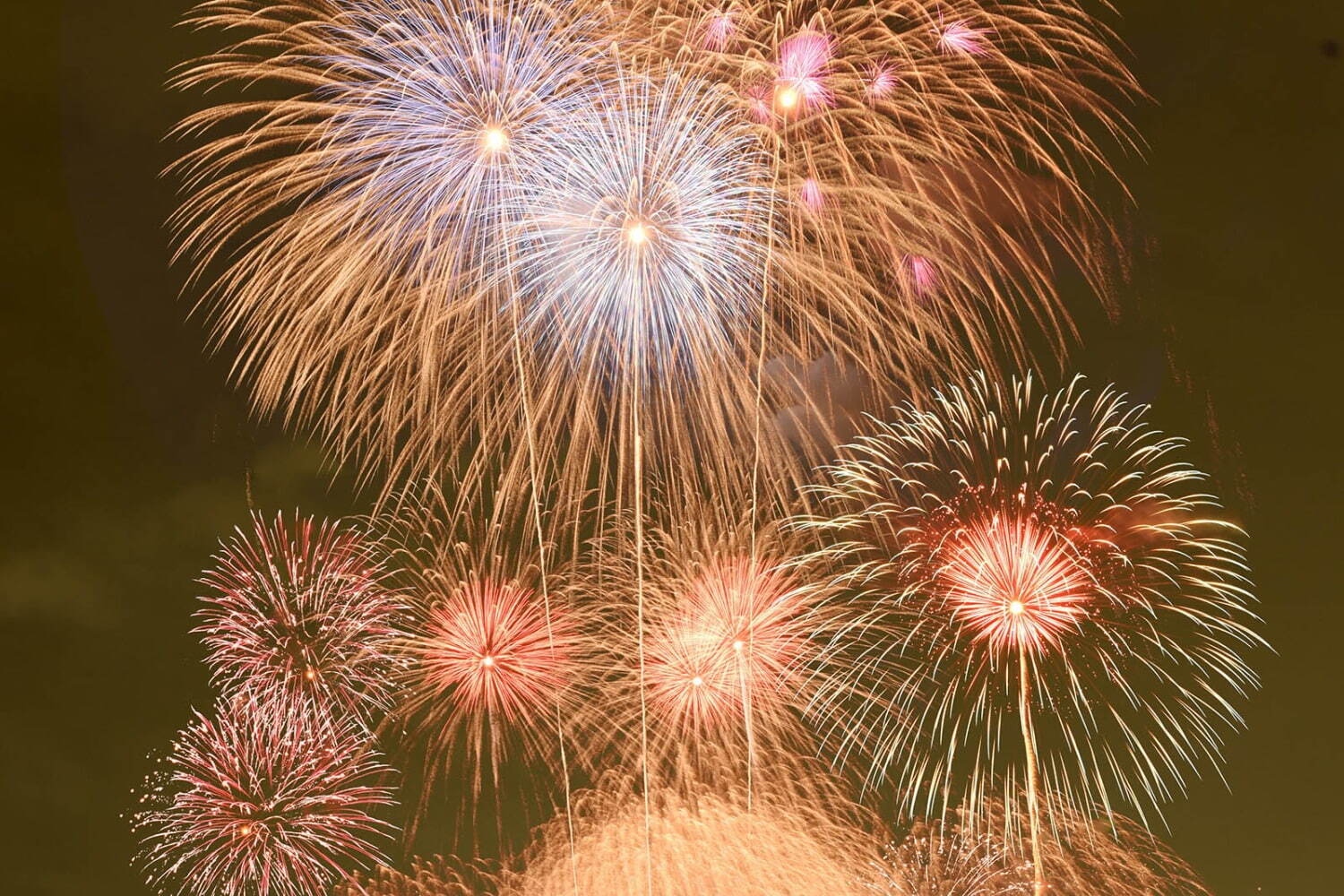 花火｜「立川まつり国営昭和記念公園花火大会 2025」花火5,000発が夏の夜空を彩る、大会当日は入園無料