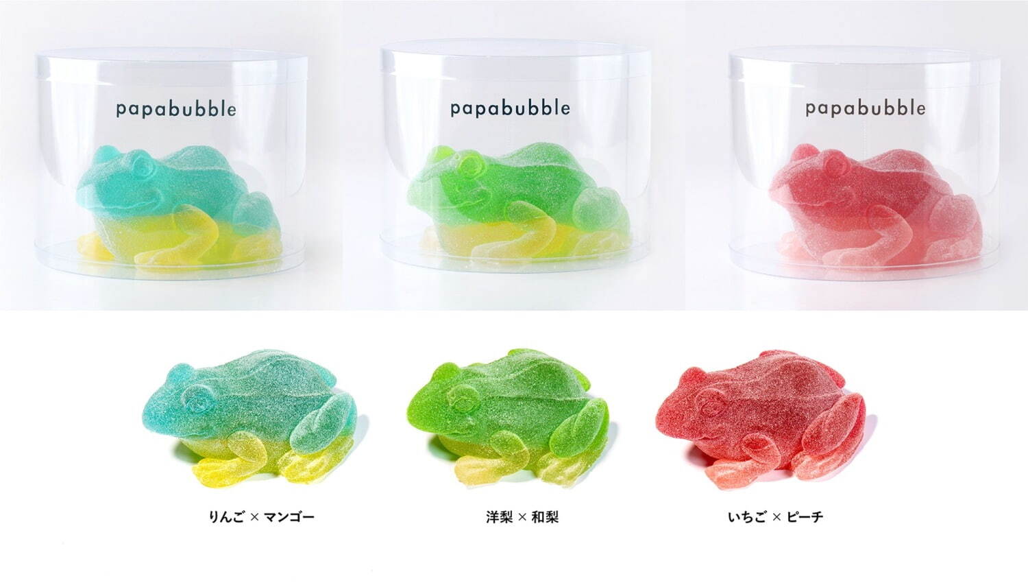 カラフルカエルグミ
価格：各種 3,500円