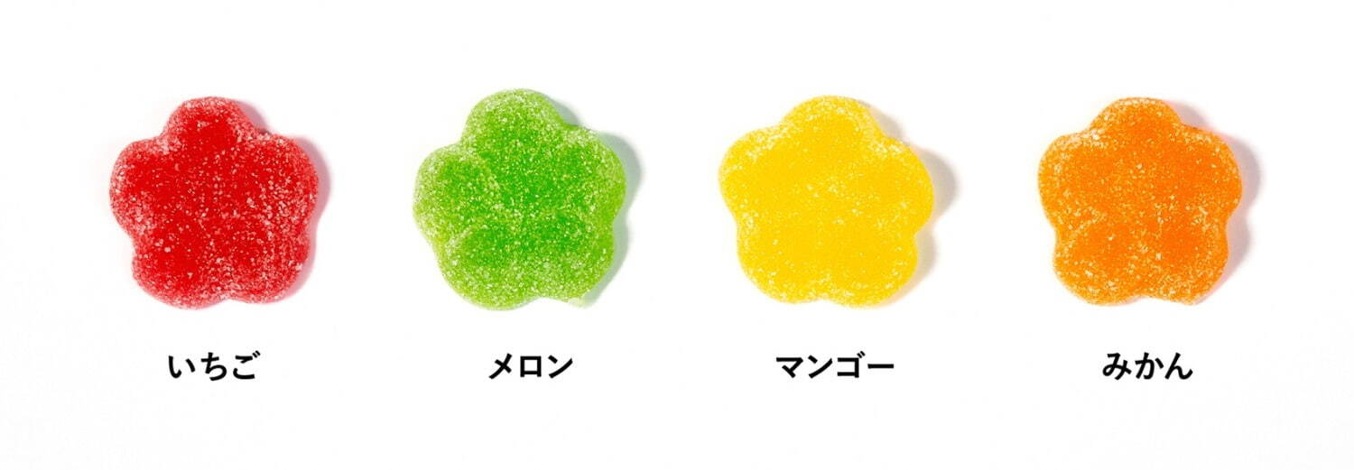 パパブブレ(PAPABUBBLE) グミフェス｜写真16