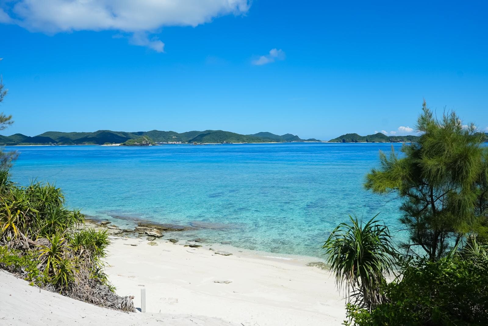 慶良間諸島・阿嘉島、ケラマブルーの代表格”北浜ビーチ”や素朴な自然｜写真22