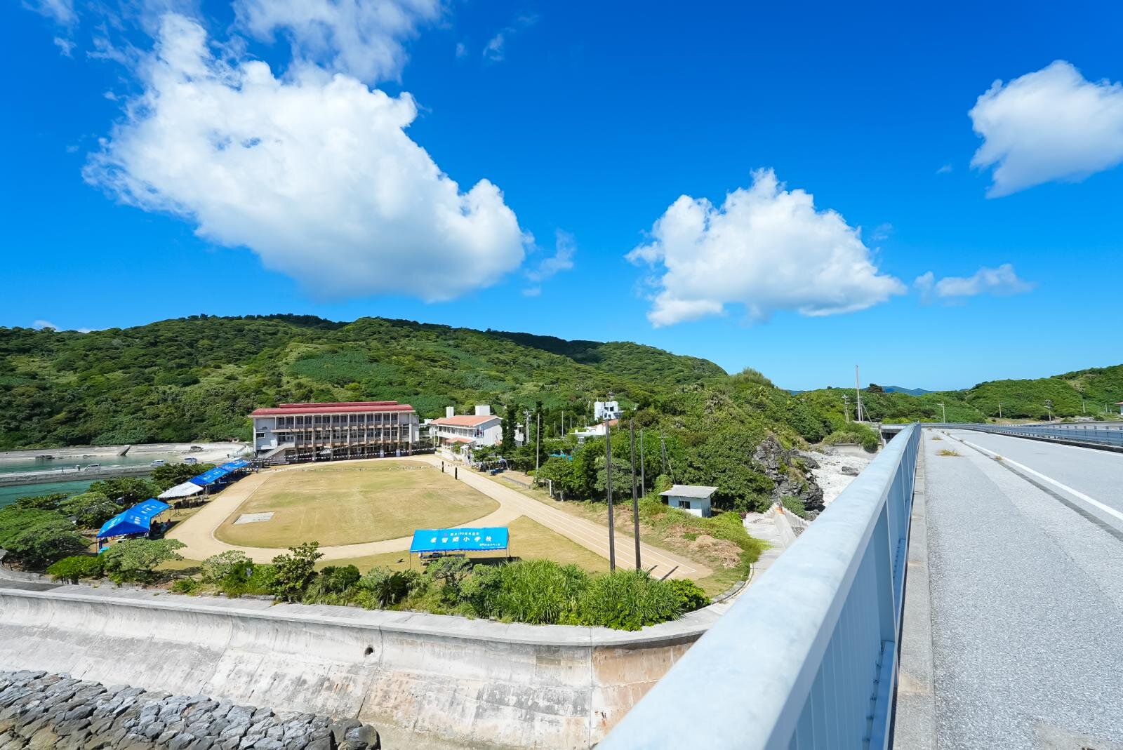 慶良間諸島・阿嘉島、ケラマブルーの代表格”北浜ビーチ”や素朴な自然｜写真41
