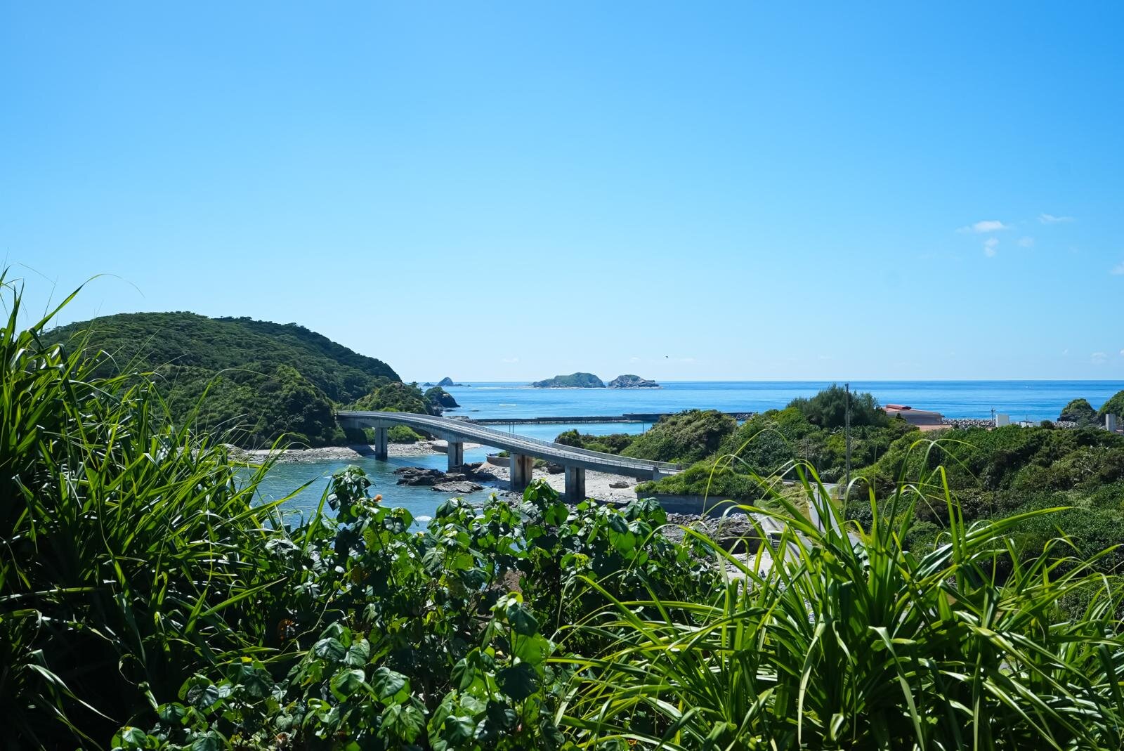 慶良間諸島・阿嘉島、ケラマブルーの代表格”北浜ビーチ”や素朴な自然｜写真43