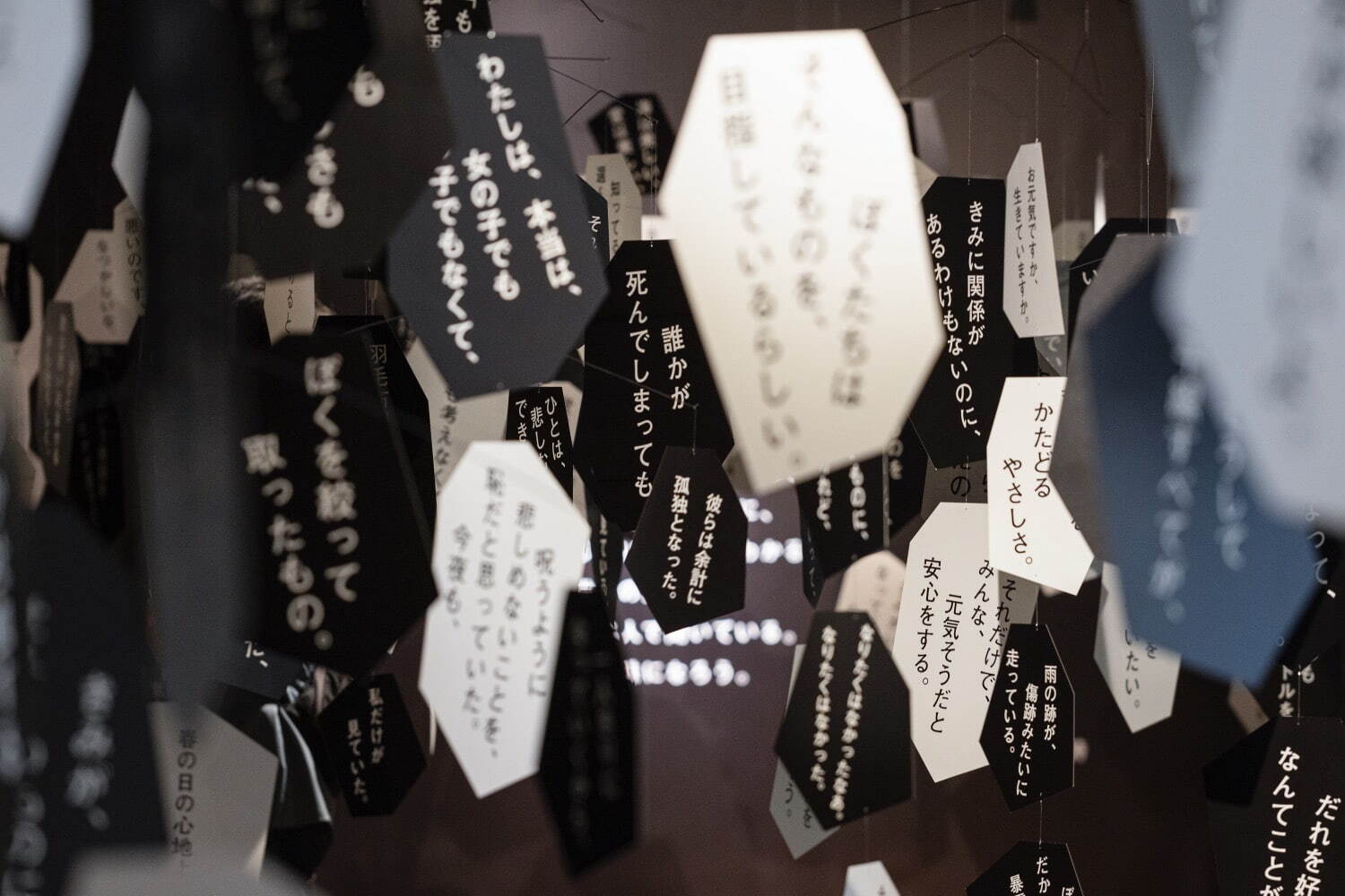 撮影：木暮伸也