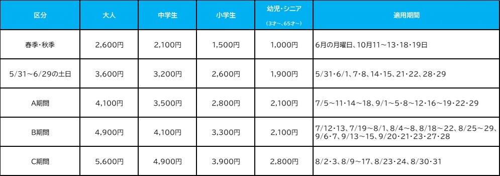 「東京サマーランド」屋外プールが先行オープン、“日本最大級”流れるプールや急降下のアトラクションも｜写真10