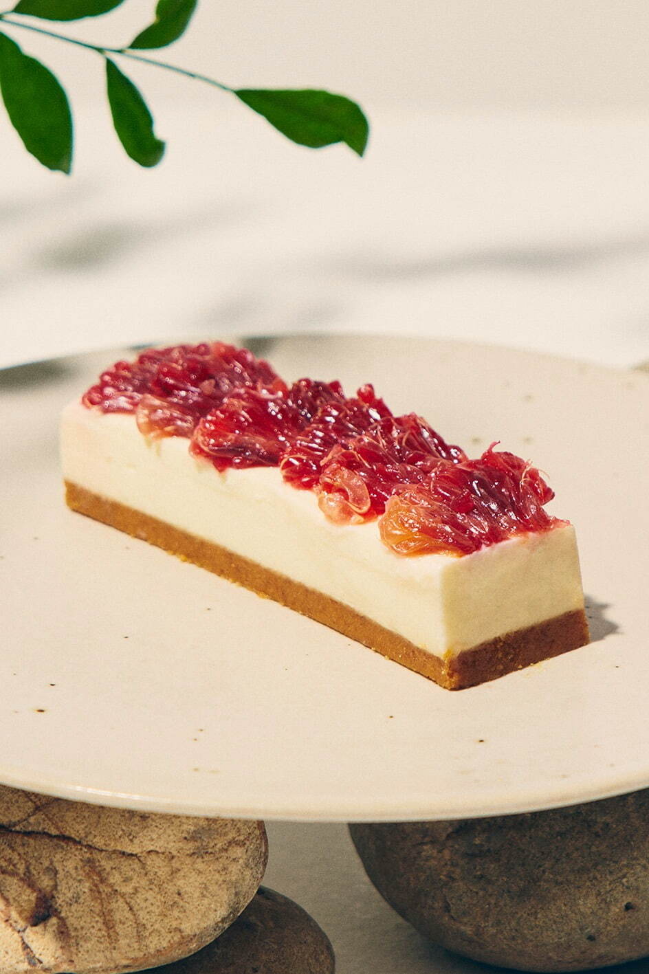 レアチーズケーキバー専門店「ボンチスタンド」東京・中目黒に、完熟夏イチゴ＆キウイなど生フルーツ使用｜写真7