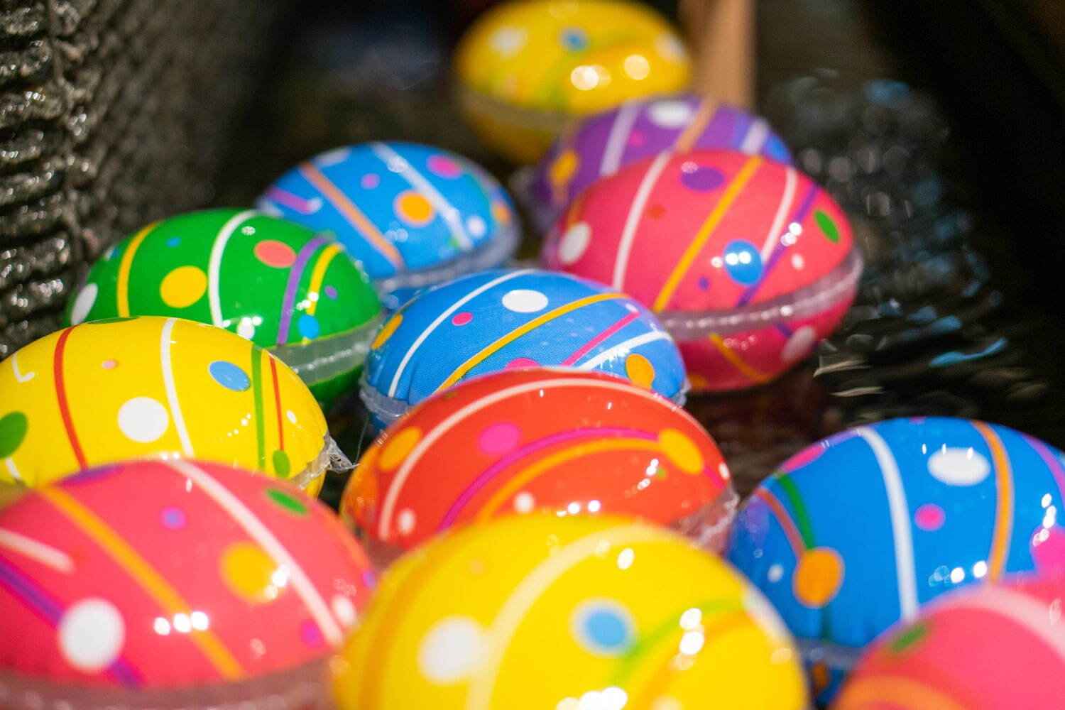 「豊洲セイルパーク」商業エリア＆大屋根広場を備えた複合施設、カフェやレストランなど21店舗｜写真6