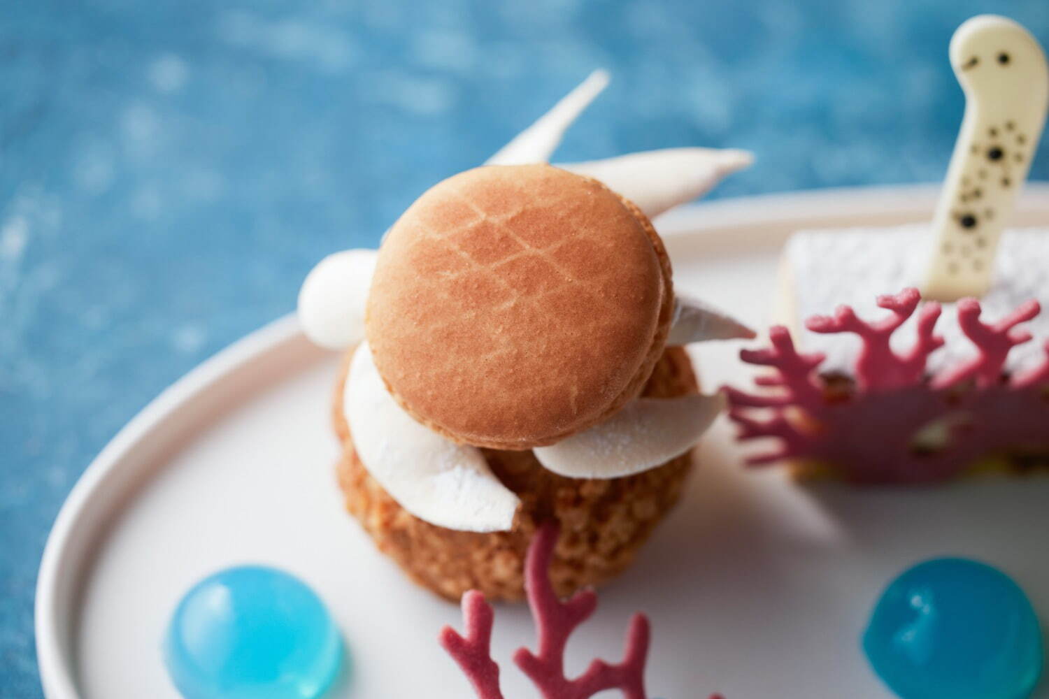 すみだ水族館“海の生き物”がスイーツに変身！ハイアット セントリック 銀座 東京のアフタヌーンティー｜写真5