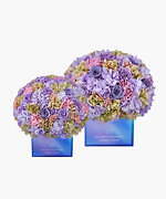 ニコライ バーグマン初の「透明ブルーグラデ」フラワーボックス、淡いパープルやピンクの花々｜写真4