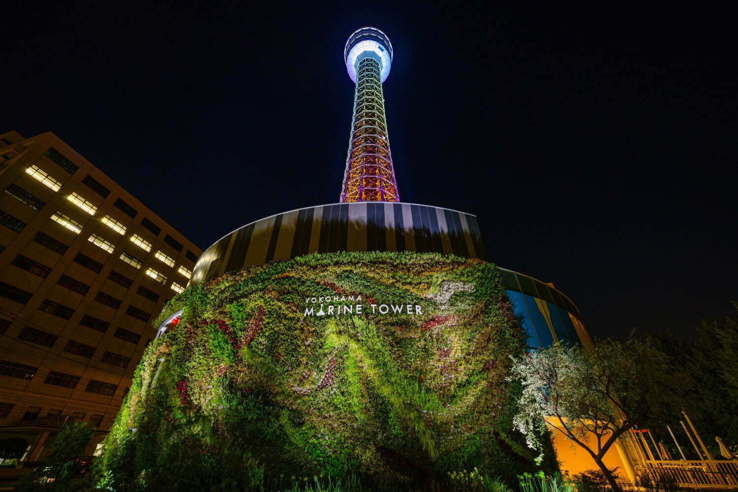 横浜初の大規模「七夕祭り」山下公園で、夜空に浮かぶランタン＆天の川プロジェクションマッピング｜写真2