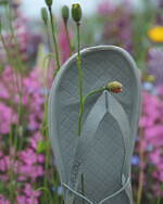 ノンネイティブ×リグ“ドローコードでフィット感を調整”トングサンダル｜写真11