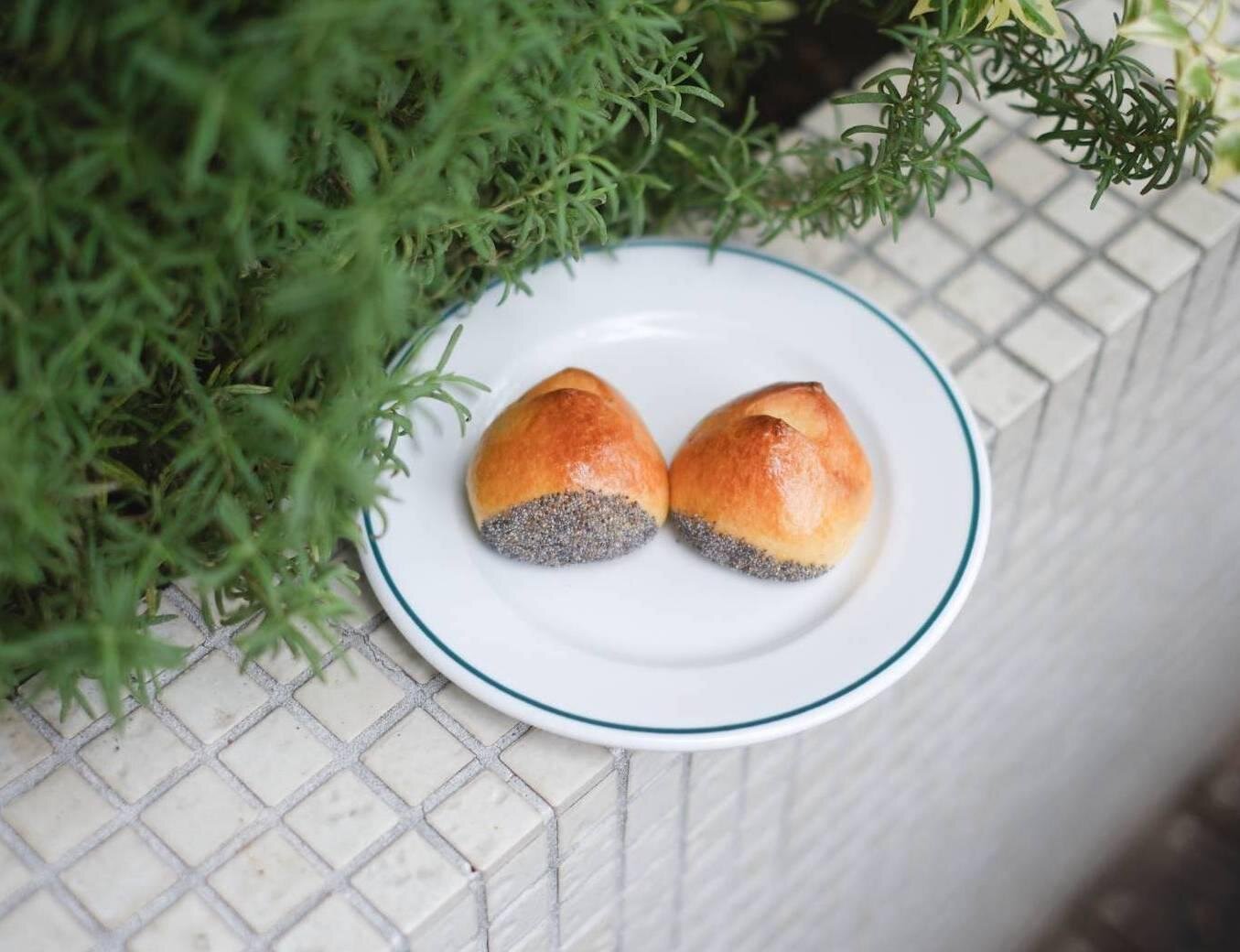 boulangerie onni「渋皮モンブランあんぱん」