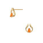 ヴァンドーム青山(VENDOME AOYAMA) 不思議な植物園｜写真6