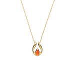 ヴァンドーム青山(VENDOME AOYAMA) 不思議な植物園｜写真9