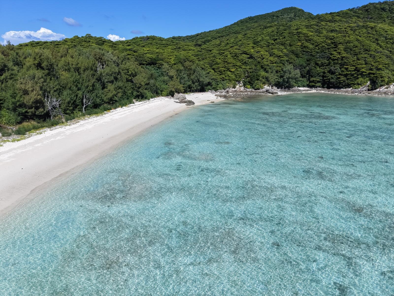 慶良間諸島・座間味の”ケラマブルー”ビーチや絶景展望スポット｜写真27