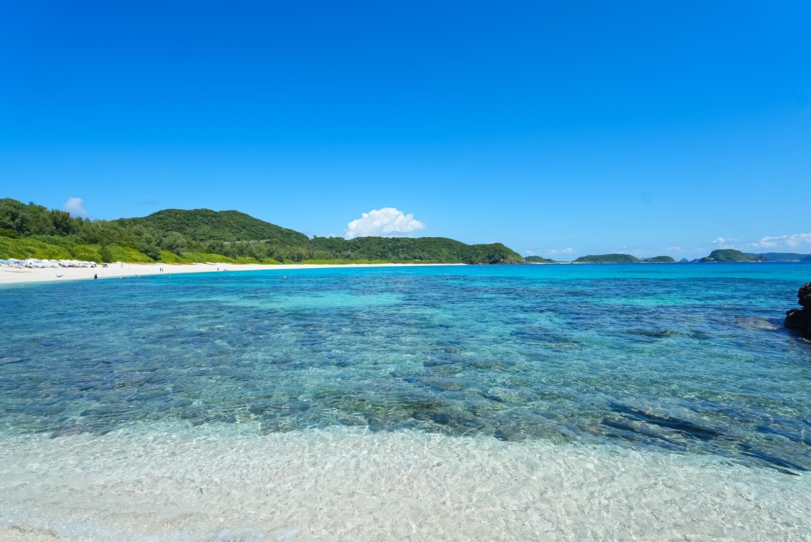 慶良間諸島・座間味の”ケラマブルー”ビーチや絶景展望スポット｜写真11