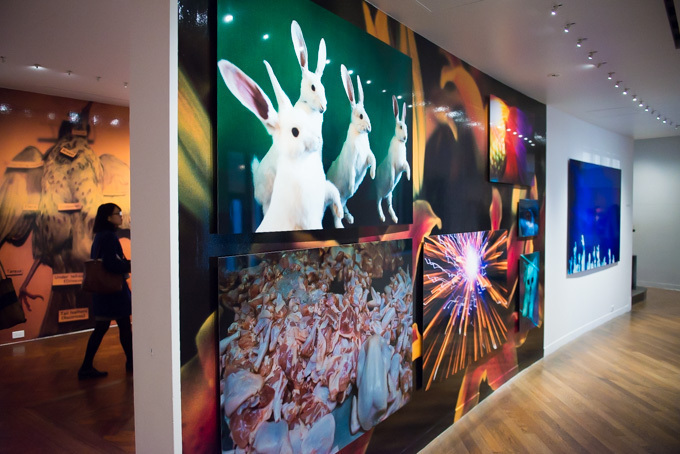 蜷川実花、初のセルフポートレイトを中心とした展覧会を原美術館で開催 - 映像インスタレーションも｜写真4