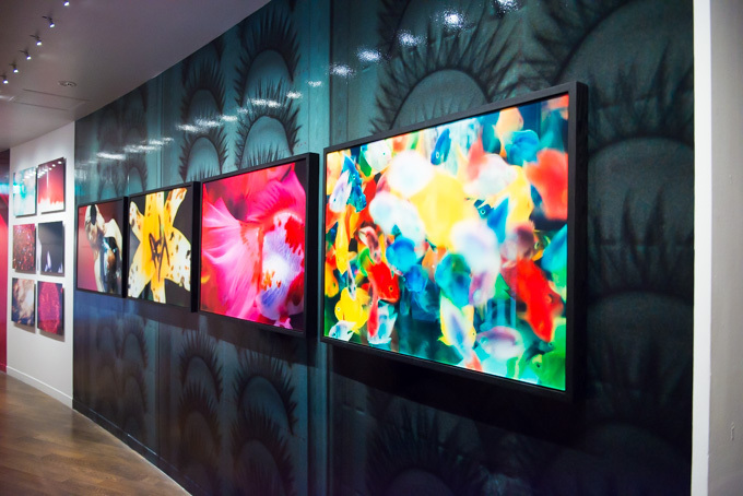 蜷川実花、初のセルフポートレイトを中心とした展覧会を原美術館で開催 - 映像インスタレーションも｜写真7