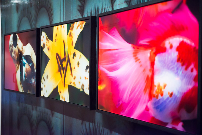 蜷川実花、初のセルフポートレイトを中心とした展覧会を原美術館で開催 - 映像インスタレーションも｜写真9