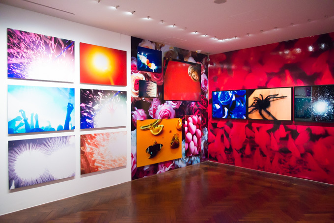 蜷川実花、初のセルフポートレイトを中心とした展覧会を原美術館で開催 - 映像インスタレーションも | 写真