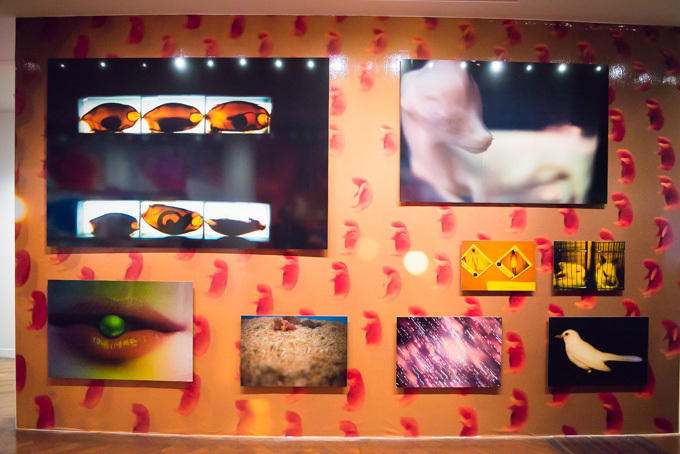 蜷川実花、初のセルフポートレイトを中心とした展覧会を原美術館で開催 - 映像インスタレーションも｜写真20