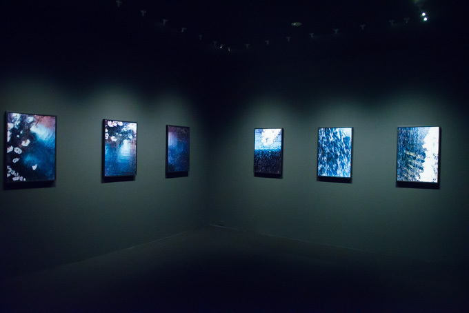蜷川実花、初のセルフポートレイトを中心とした展覧会を原美術館で開催 - 映像インスタレーションも｜写真26