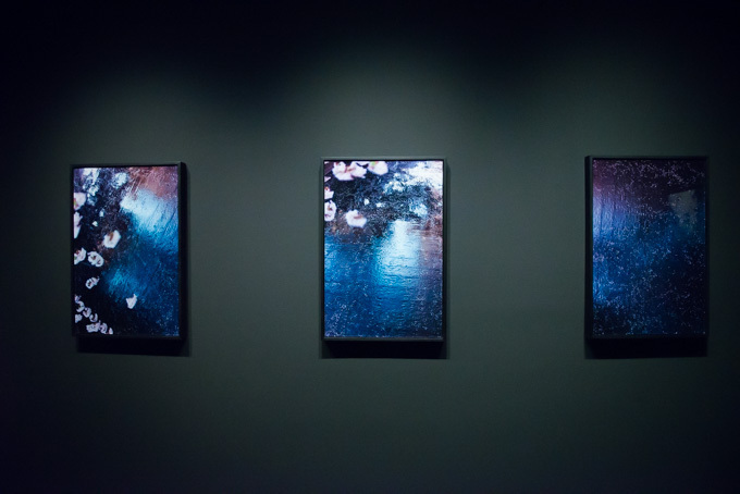 蜷川実花、初のセルフポートレイトを中心とした展覧会を原美術館で開催 - 映像インスタレーションも｜写真28