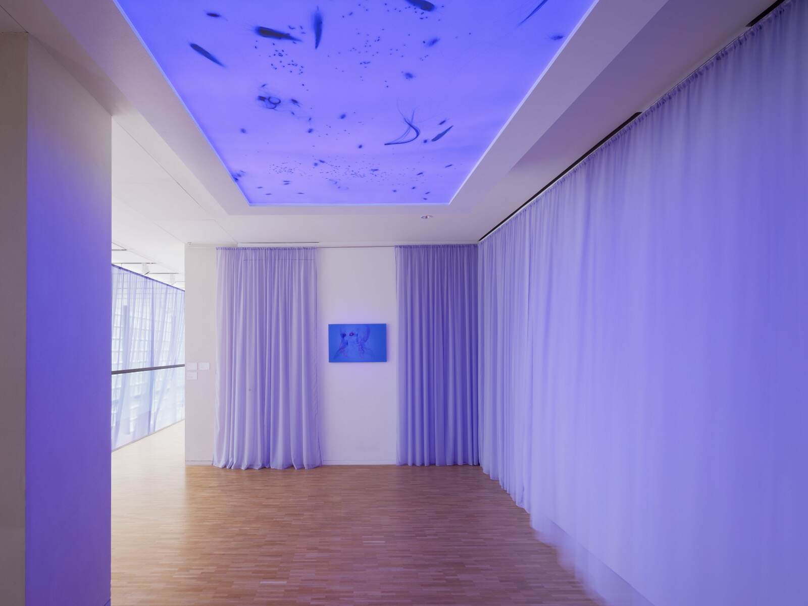 「体を成す からだをなす — フラック・グラン・ラルジュ 収蔵作品セレクション展」展示風景 銀座メゾンエルメス ル・フォーラム 2025年 © Nacása & Partners Inc./ Courtesy of Fondation d