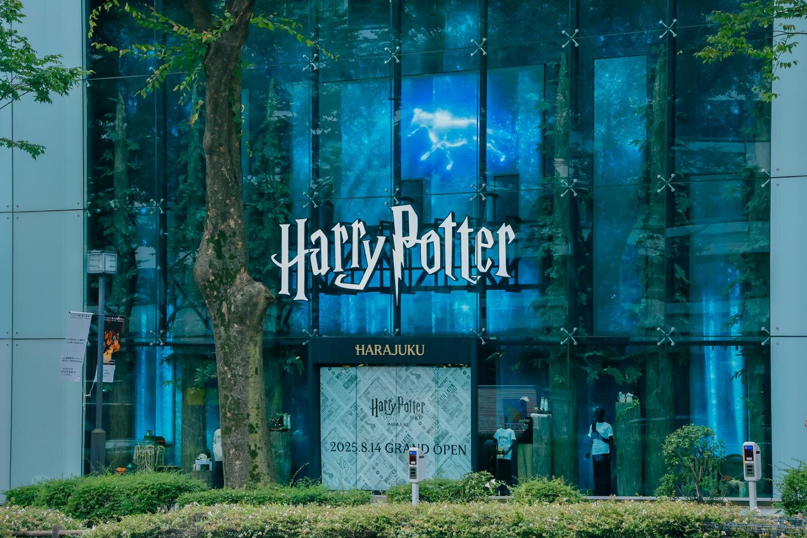 「ハリー・ポッター ショップ」日本初の旗艦店が原宿に、限定グッズや“バタービールバー”｜写真93
