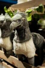 「ハリー・ポッター ショップ」日本初の旗艦店が原宿に、限定グッズや“バタービールバー”｜写真24