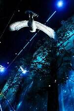 「ハリー・ポッター ショップ」日本初の旗艦店が原宿に、限定グッズや“バタービールバー”｜写真49