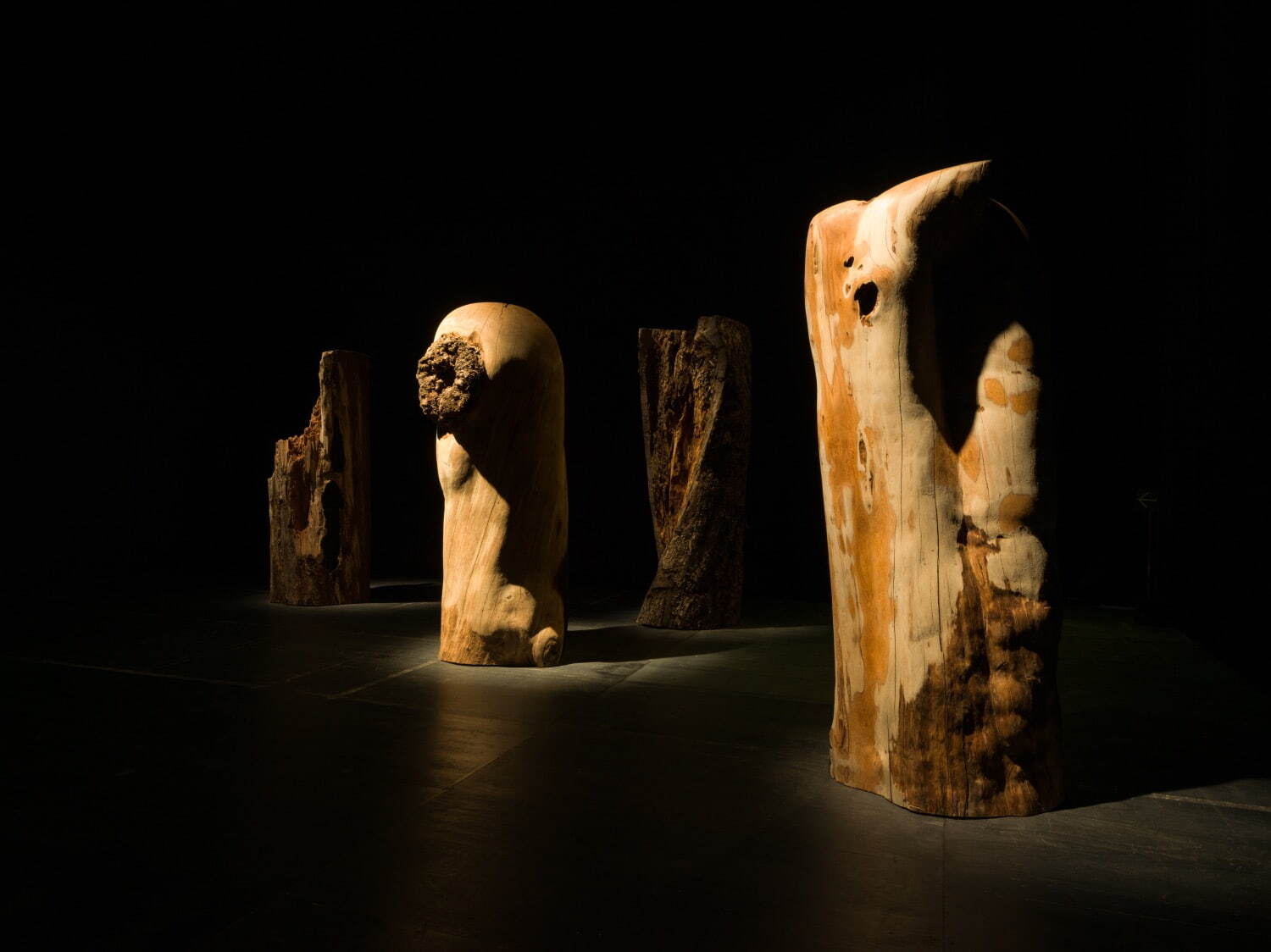 国松希根太 《WORMHOLE》 2024年
札幌国際芸術祭2024 展示風景 撮影:藤倉翼