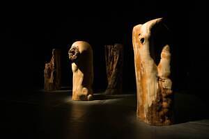 “自然との出会い”彫刻家・国松希根太の個展が十和田市現代美術館で、木々を用いた彫刻など一堂に