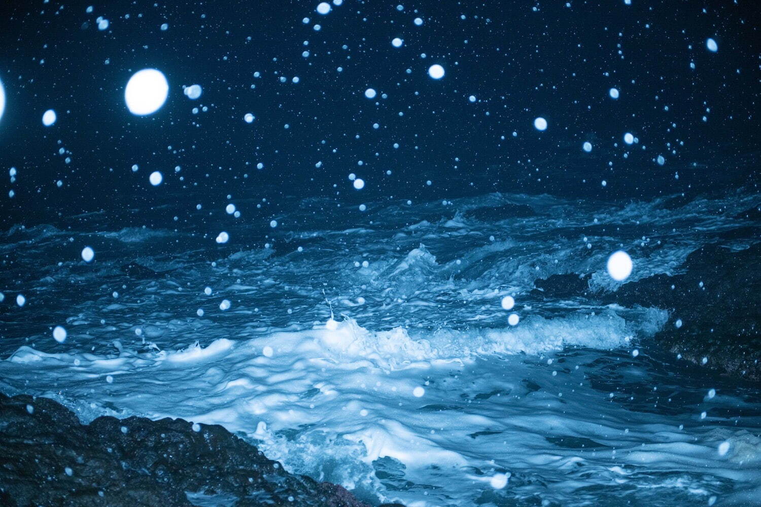 志賀理江子 《褜男》 2025年
©Lieko Shiga. Courtesy of the artist