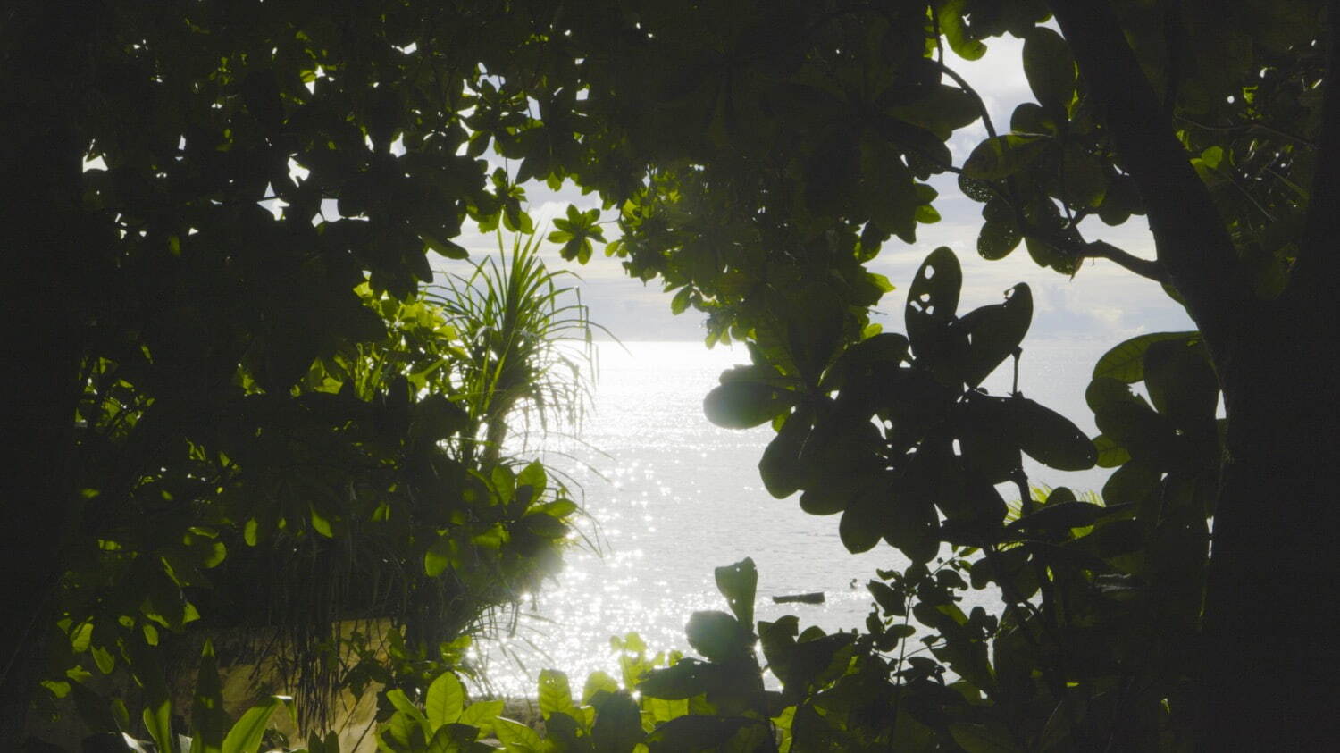 山城知佳子 発表予定の新作より(タイトル未定)
© Chikako Yamashiro. Courtesy of the artist