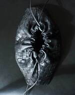 ボッテガ・ヴェネタ(BOTTEGA VENETA) ダストバッグ｜写真2