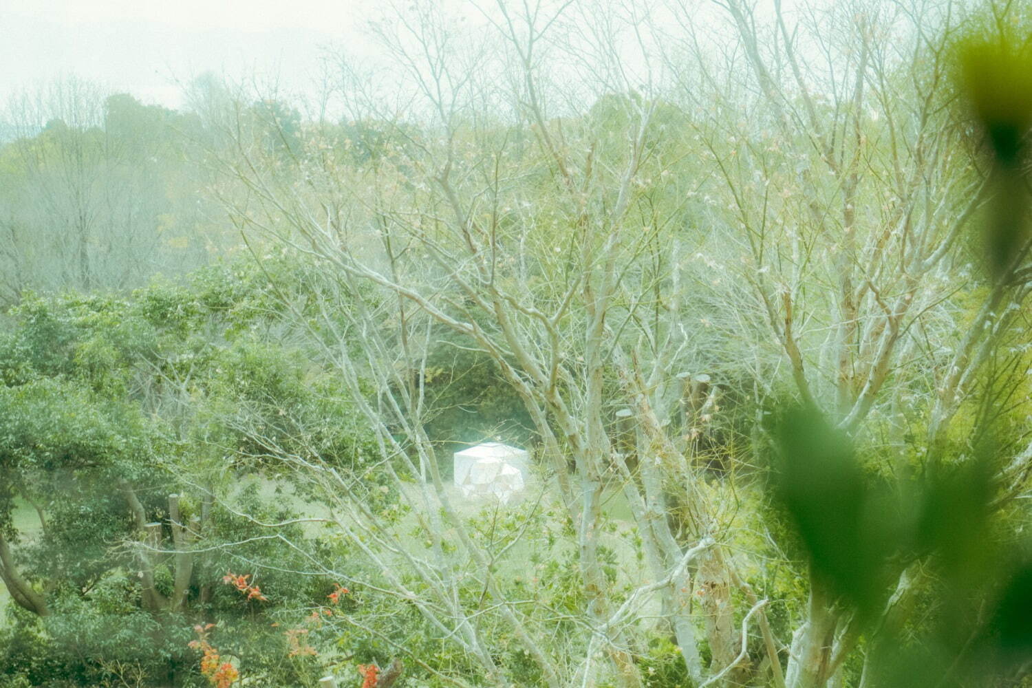 野外映画フェス「丘の向こうに森の映画祭」静岡沼津でオールナイト開催『君の名前で僕を呼んで』など30本｜写真18