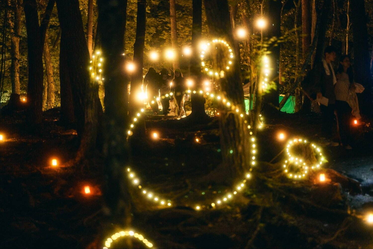 野外映画フェス「丘の向こうに森の映画祭」静岡沼津でオールナイト開催『君の名前で僕を呼んで』など30本｜写真28