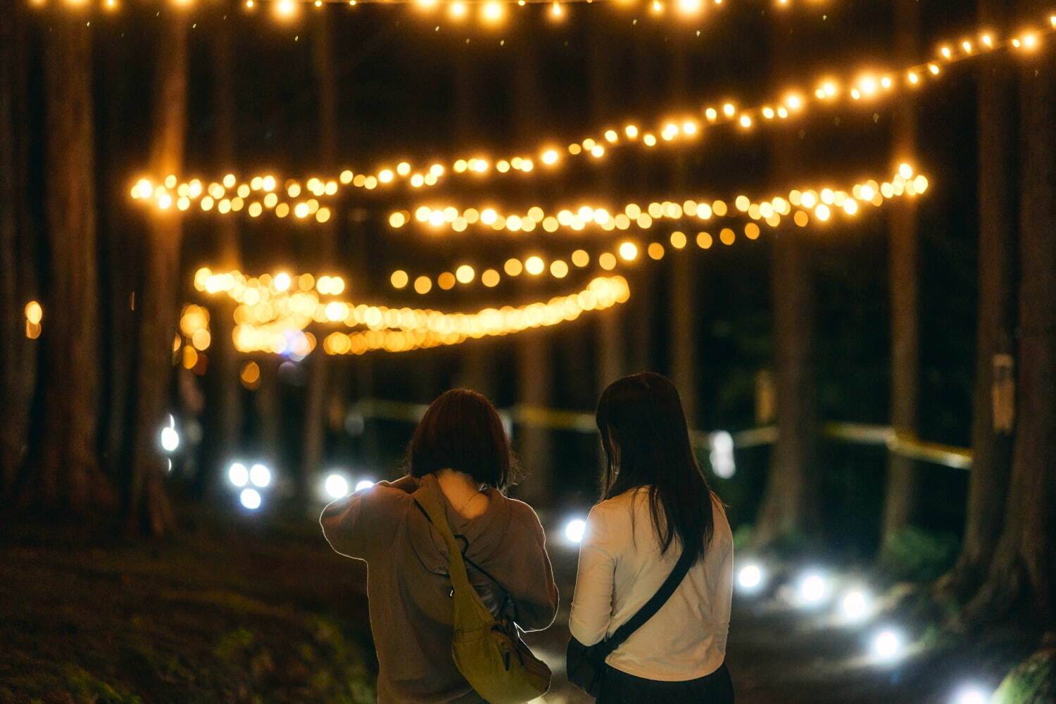 野外映画フェス「丘の向こうに森の映画祭」静岡沼津でオールナイト開催『君の名前で僕を呼んで』など30本｜写真8