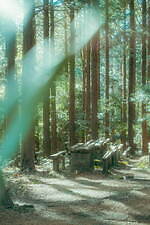 野外映画フェス「丘の向こうに森の映画祭」静岡沼津でオールナイト開催『君の名前で僕を呼んで』など30本｜写真28