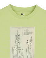 アメリ(AMERI) 畑萬陶苑｜写真41